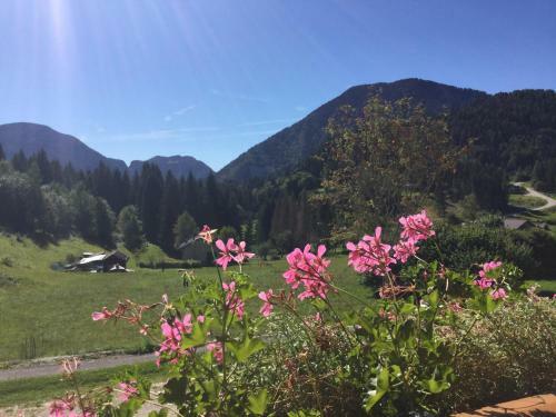 Hotel Albergo Chalet Abete Rosso