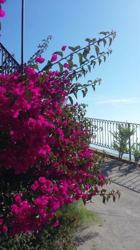 Aparthotel Oltremare Residence Hotel