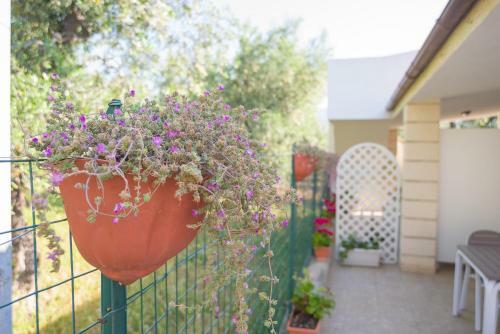 Apartamento Villa Melena