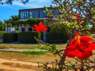 Apartamento Casa Relax Acqua Marina