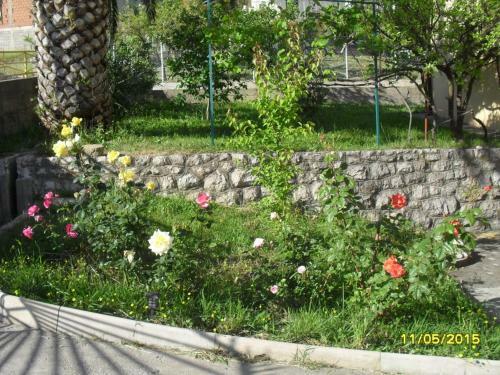 Hostal Guest House Marija