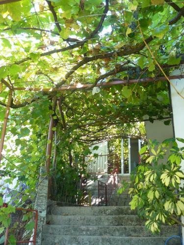 Holiday Home Montenegro