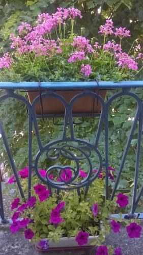 Bed & Breakfast Al Castello