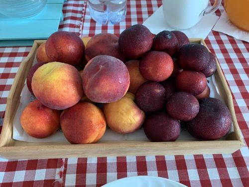 Agroturismo B&B Turudhis
