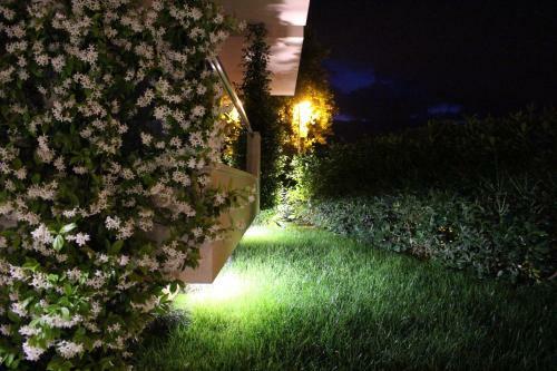 Apartment Miramare