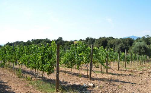 Agroturismo Tenuta Di Maro