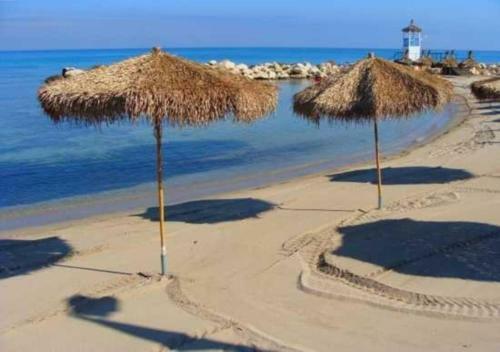 Casa Vacanza Albamarina