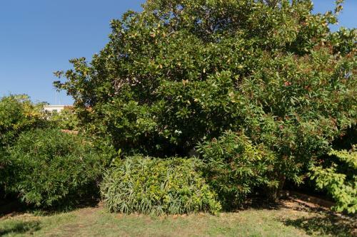 Villa Palazzo Fossi