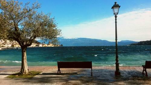 B&B Sal� Novecento