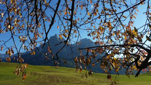 Apartamento Residence Rabensteiner