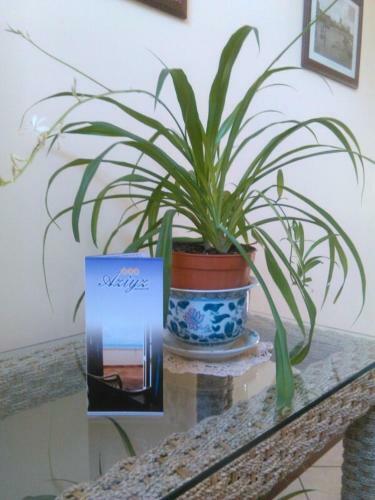 Bed & Breakfast Aziyz Camere