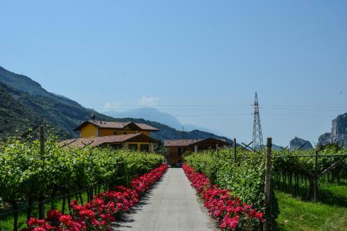 Bed & Breakfast Maso Agritur Santa Lucia