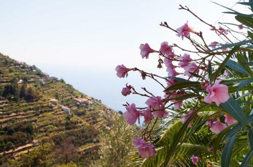Hostal Il Nettare