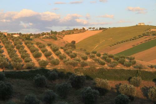 Agroturismo Country-house Pecora Nera