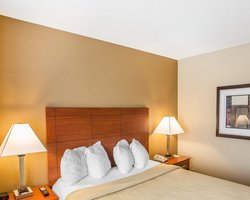 Hotel Quality Inn & Suites