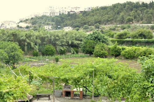 Casa Vacanze Villa Francesca