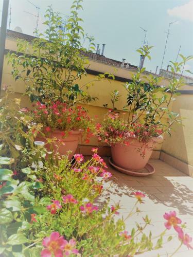 Apartamento Appartamento Mal�