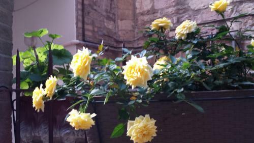 Hostal Calende Di Maggio