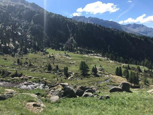 Apartamento Appartamenti Pegolotti