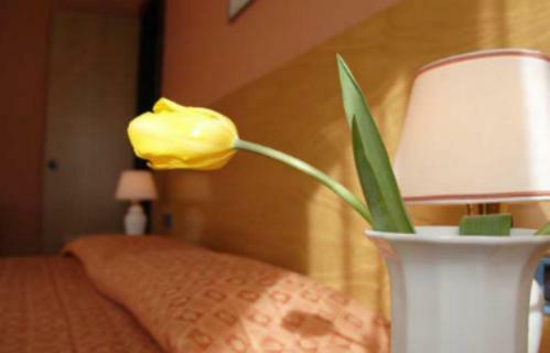 Hotel Des Geneys