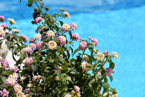 Hostal Affittacamere B&B La Villa Dei Graniti