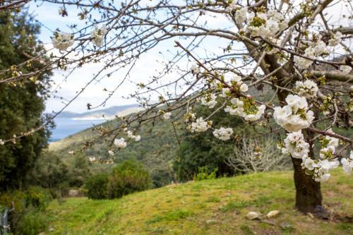 Villino Mare E Natura