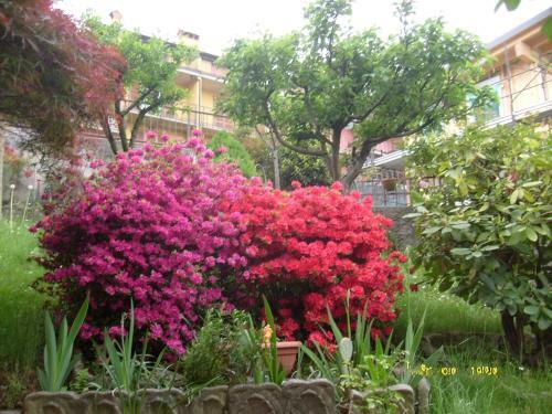 Apartamento House Yanina