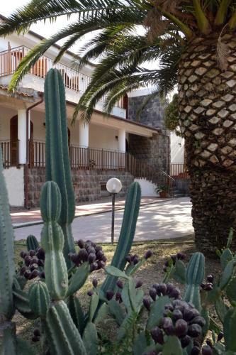 B&B Villa Rodriguez