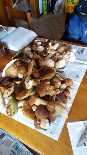 Apartamento Mansarda Accogliente Falcade Dolomiti