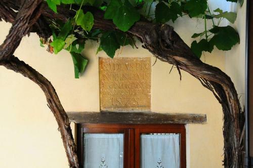 B&B Camere La Vite