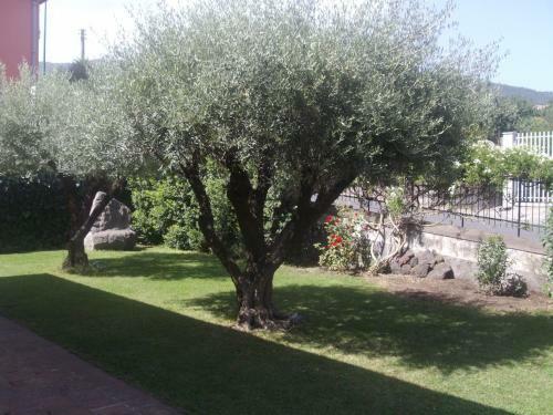 Scatitti House
