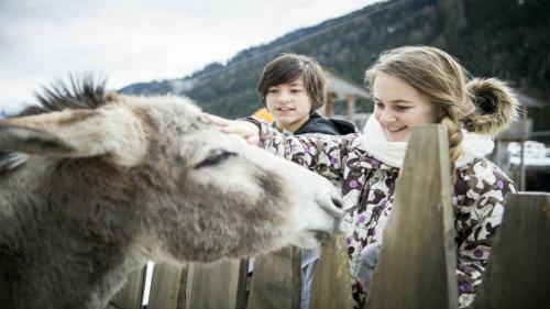 Alphotel Tyrol