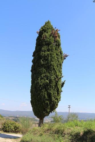 Agroturismo Certine Agriturismo