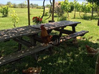 Agroturismo Antico Corniolo