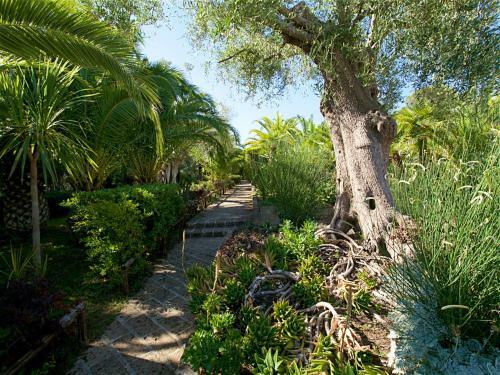 Aparthotel Residence Solemaremma