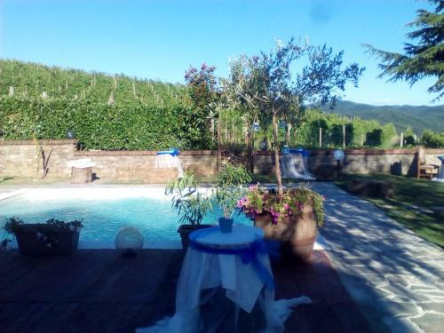 Bed & Breakfast L'oasi Nel Vigneto
