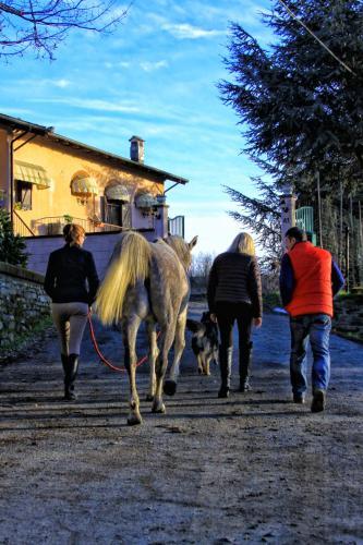 Bed & Breakfast L'oasi Nel Vigneto