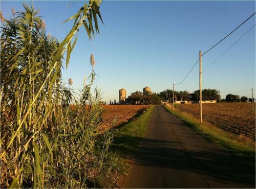 Agroturismo B&B Corte Degli Struzzi