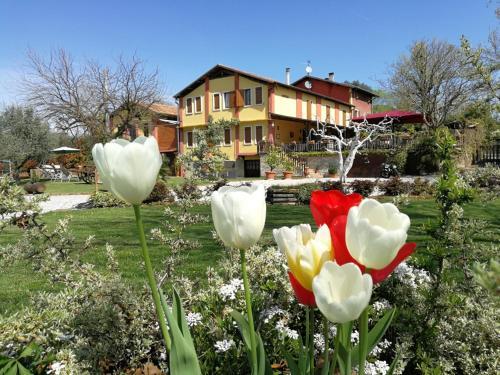 Agroturismo Agriturismo Ca Persiane