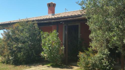 Bed & Breakfast Agrialbergo Capalbio
