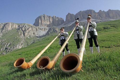 Aparthotel Dolomites Apartments Ciasa Vally