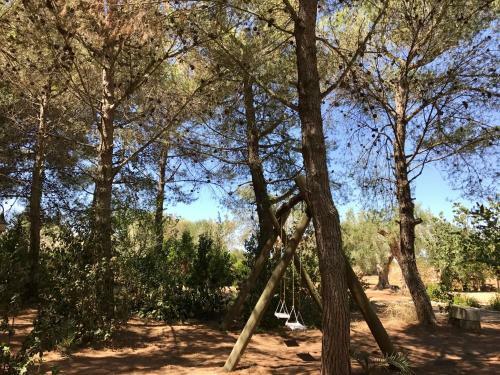 B&B Tenuta Paradisi