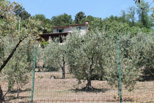 Agroturismo Casa Rustica