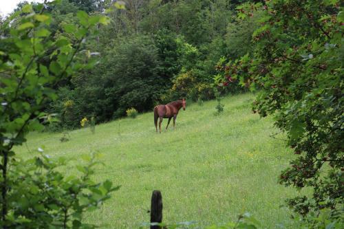 Bed & Breakfast Casa Lisetta