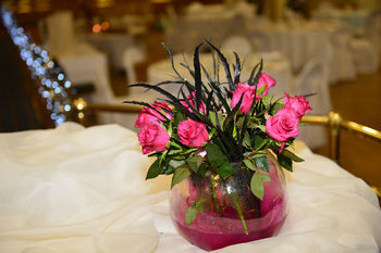 Silverbirch Hotel