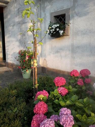 Bed & Breakfast Il Giuggiolo