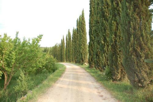 Agroturismo Novelleto