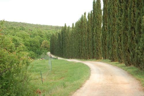 Agroturismo Novelleto