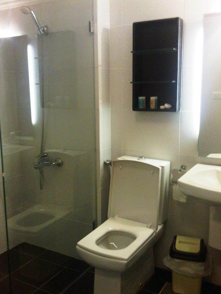 Hotel Le Marly
