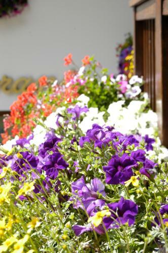 Debra Park Hotel